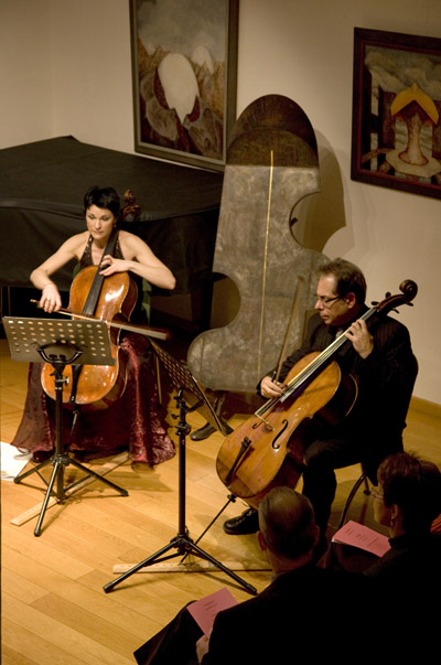 Konzert Cellospieler